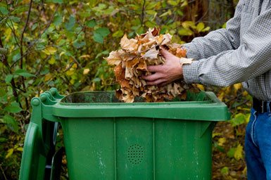Image of person placing big handful of leaves inside yard waste bin.